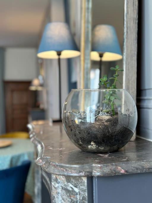Appartement Le Jardin Secret - Jardin/Loire à Tours Extérieur photo